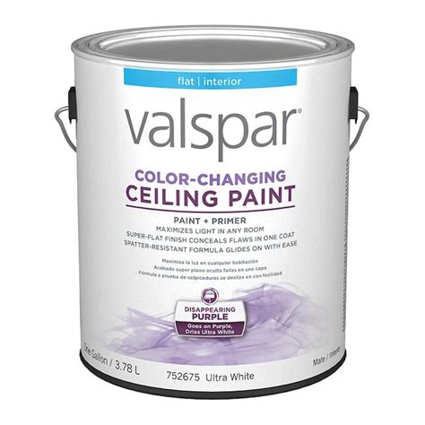 Valspar Color-Changing Flat White Ceiling Paint and Primer (1-Gallon ...