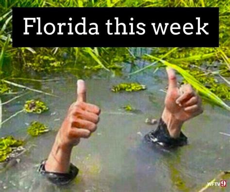 Florida Weather image by Beverly Stiles | Florida funny, Florida ...