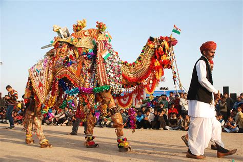 Camel Festival Bikaner Is Dedicated To The Indispensable 'ship Of The ...