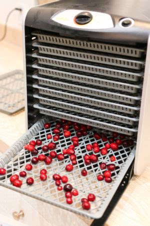 How to Dry Cranberries for Decorating - Tidbits