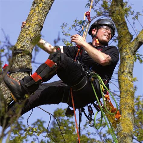 Tree Climbing Harnesses: A Buyer's Guide - Member Blogs - Arbtalk | The Social Network For Arborists