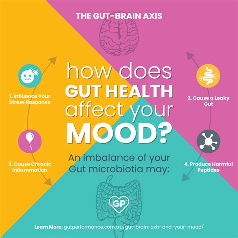 Gut Brain Axis and Your Mood - Gut Performance