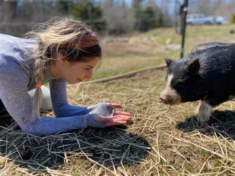 Animal rescue farm struggling amid pandemic