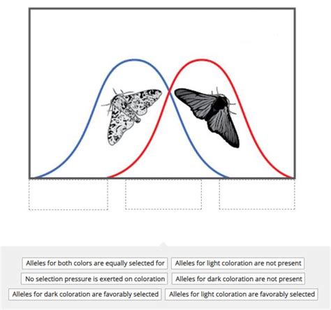 Solved This figure illustrates changes in the peppered moth | Chegg.com