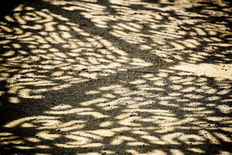 Patterns In Shadow Free Stock Photo - Public Domain Pictures