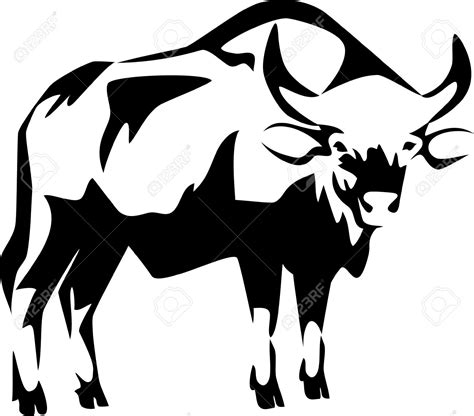 Buffalo Silhouette Vector at GetDrawings | Free download