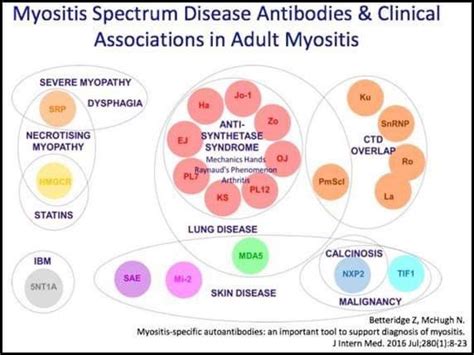 Pin on autoimmune