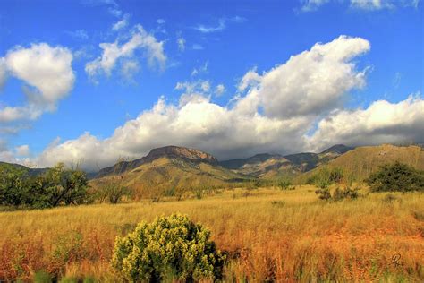 Autumn In The Huachuca Mountains Photograph by Robert Harris - Fine Art America