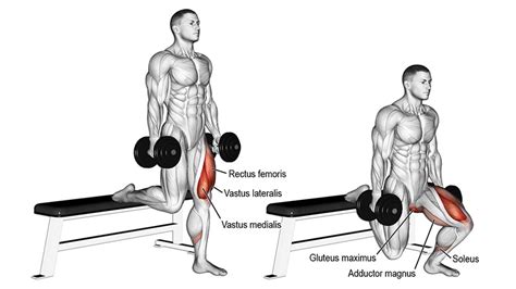 How to Perform a Bulgarian Split Squat - The Trend Spotter