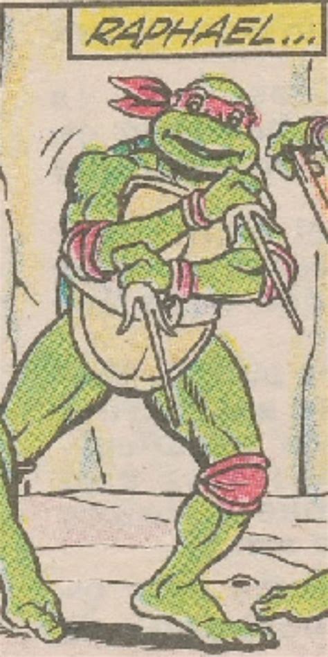 Raphael (TMHT comic strips) | TMNTPedia | Fandom