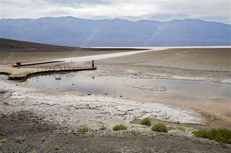 Badwater Basin, Death Valley - Stock Image - C022/5745 - Science Photo Library