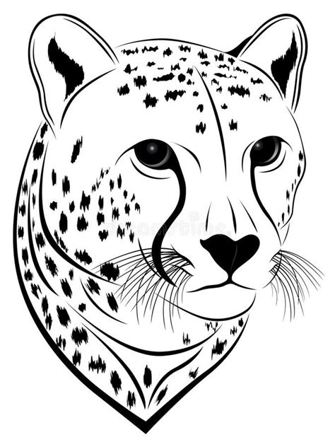 Cheetah, tattoo stock vector. Image of tattoo, symbol - 14784742