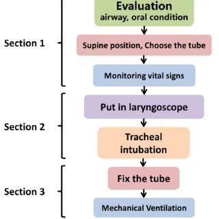 The three sections of procedure flow of tracheal intubation (TI ...