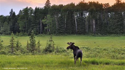 Riding-Mountain-National-Park – Your Connection to Wildlife