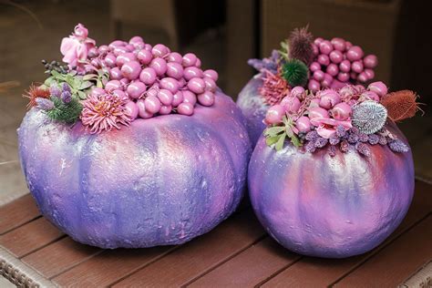 Purple Pumpkins on Halloween: What Do They Mean? | Color Meanings