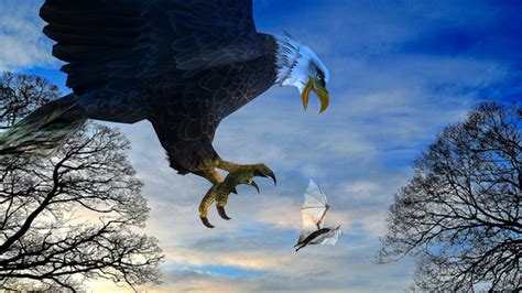 Eagle Attack - 3D Model by Pictorer