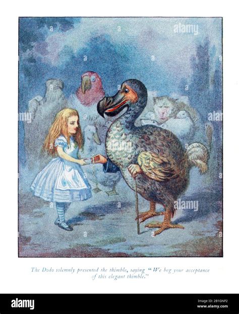 Dodo Bird Alice In Wonderland Costume