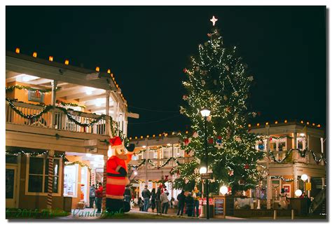 Old Town Plaza Christmas Tree – Albuquerque Daily Photo