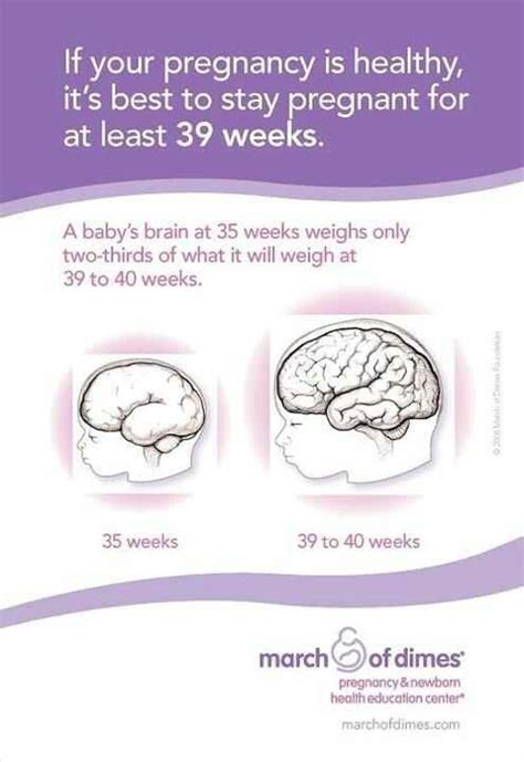 1000+ images about Neonatal Nurse on Pinterest | Lungs, Hip dysplasia and Physiology