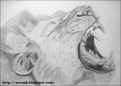 Kreslení tužkou - (Drawing portraits by Pernak): Lev pustinný (Felidae) - Kresba tužkou