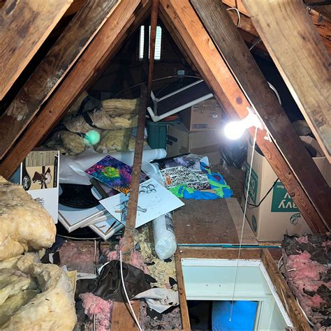 6 Things to Consider When Planning an Attic Cleanout - Master Attic