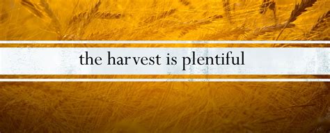 the harvest is plentiful – First Chinese Baptist Church Los Angeles