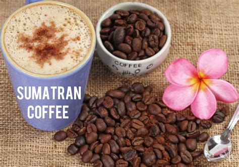 3 Best Sumatra Coffees Reviewed (Wild & Earthy Flavors) | KitchenSanity