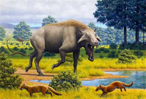 Animales de la prehistoria extintos y vivos | Cinco Noticias