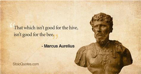 Marcus Aurelius Quotes: 19+ Best Quotes from the Emperor