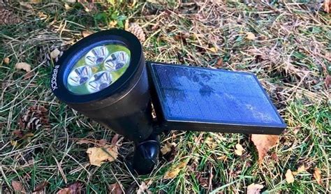 The Best Solar Uplights for Trees in 2021 | Outdoor landscape lighting, Outdoor gardens design ...