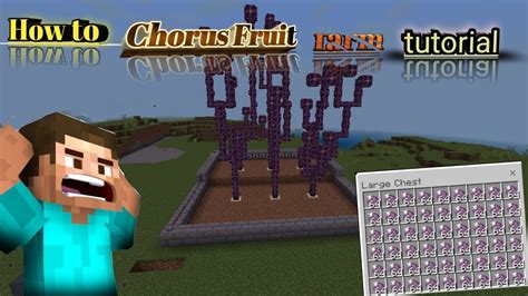 infinite chorus fruit farm Minecraft 1.19/pe|java and bedrock/ - YouTube