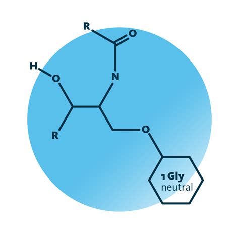 Cerebrosides Analysis - Lipid Analysis - Lipotype GmbH