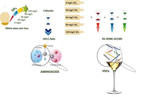 Beverages | Free Full-Text | Different SO2 Doses and the Impact on ...