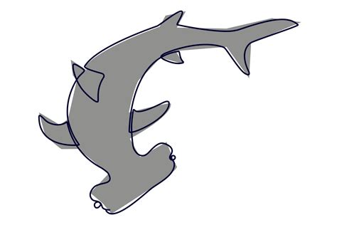 Hammerhead Shark Sketch