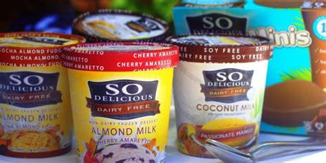 So Delicious Dairy Free Ice Cream Review - Chic Vegan