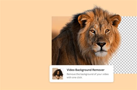 Video Background Remover: Remove Background From Video | Canva Pro