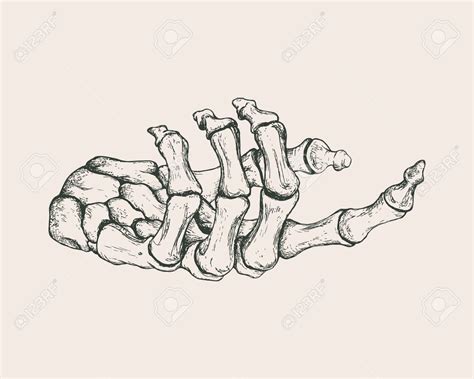 Skeleton Hand Drawing at GetDrawings | Free download