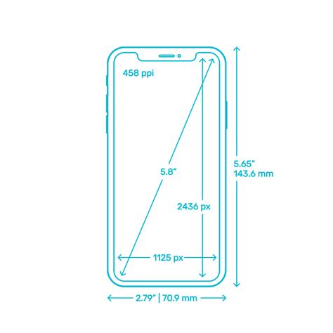 Apple iPhone X Dimensions & Drawings | Dimensions.Guide