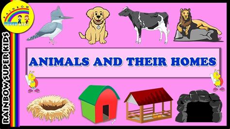 11++ Homes of animals information