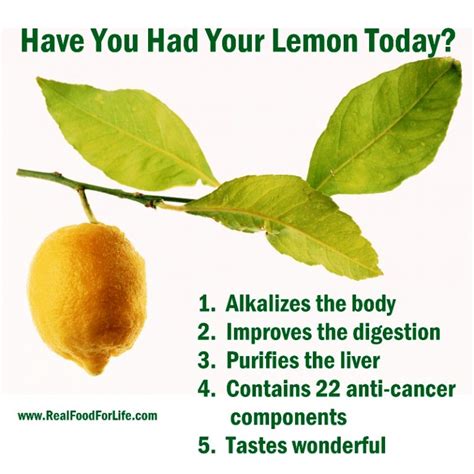 16 Health Benefits of Lemons Make It An Amazing Alkaline Superfood