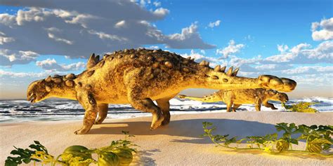 Discover The Dinosaur with Spikes, a Clubbed Tail, and Thick Armor - A ...