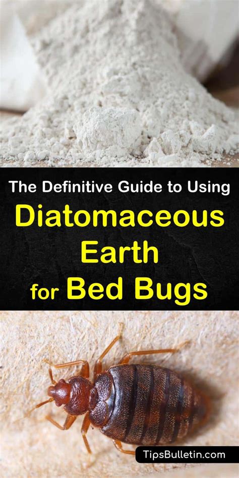 10+ Questions Answered about Using Diatomaceous Earth for Bed Bugs