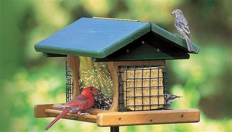 Hopper Feeders - Wild Birds Unlimited | Wild Birds Unlimited