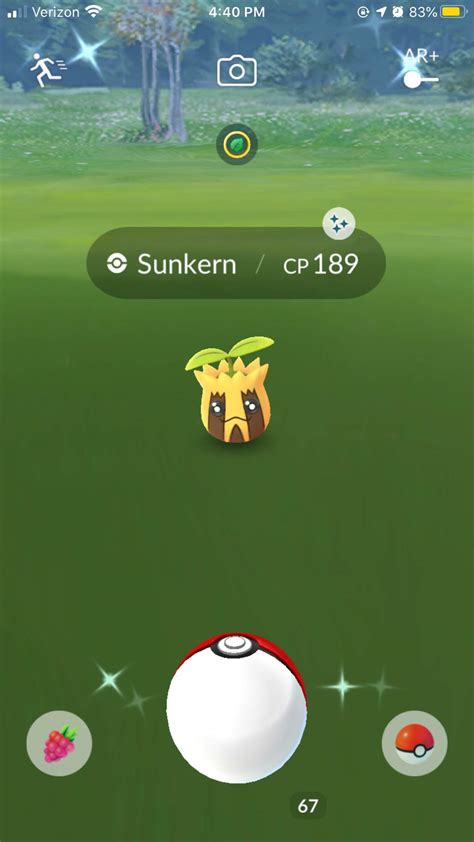 Shiny Sunkern in Pokémon Go! | Pokémon Amino