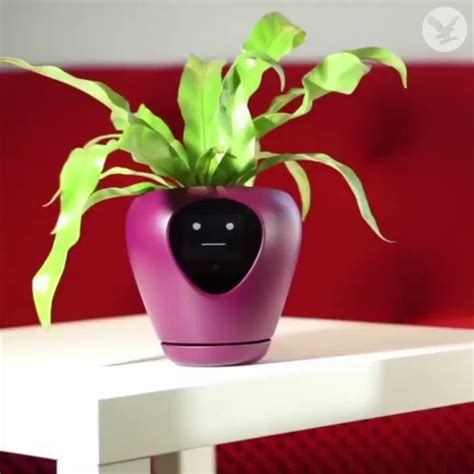 This smart plant pot tells you how your plants are 'feeling' | Scoopnest