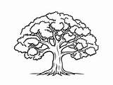 Oak Tree Coloring Page For All Ages  sketch template