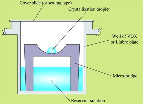 (IUCr) Introduction to protein crystallization