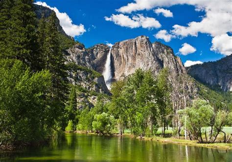 Bus Tour From San Francisco To Yosemite Park - Tour Look