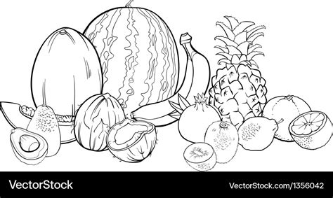 Tropical fruits for coloring book Royalty Free Vector Image