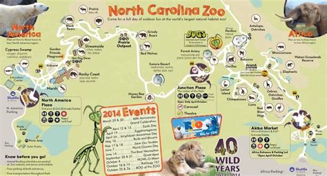 North Carolina Zoo in Asheboro, NC | School trip, Cypress swamp, Outdoor fun